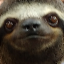 le sidaner's avatar